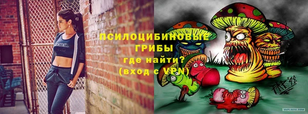 мяу мяу мука Новокубанск