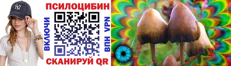 Псилоцибиновые грибы прущие грибы  Купить закладки  Новодвинск 